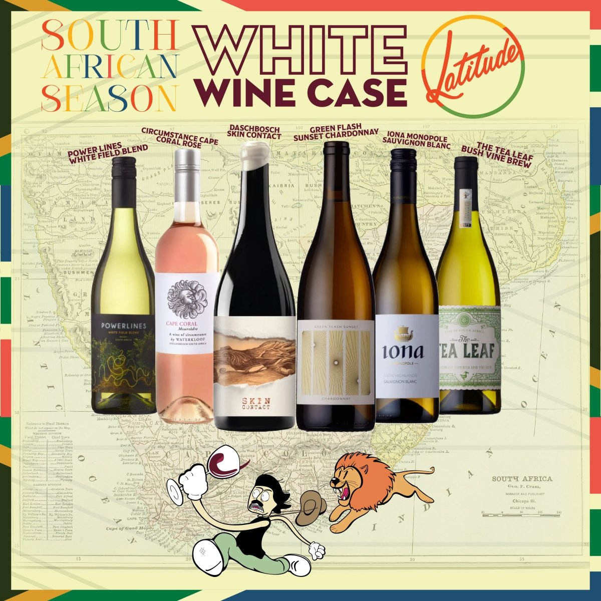 WHITE South African Case - Latitude Wine & Liquor Merchant